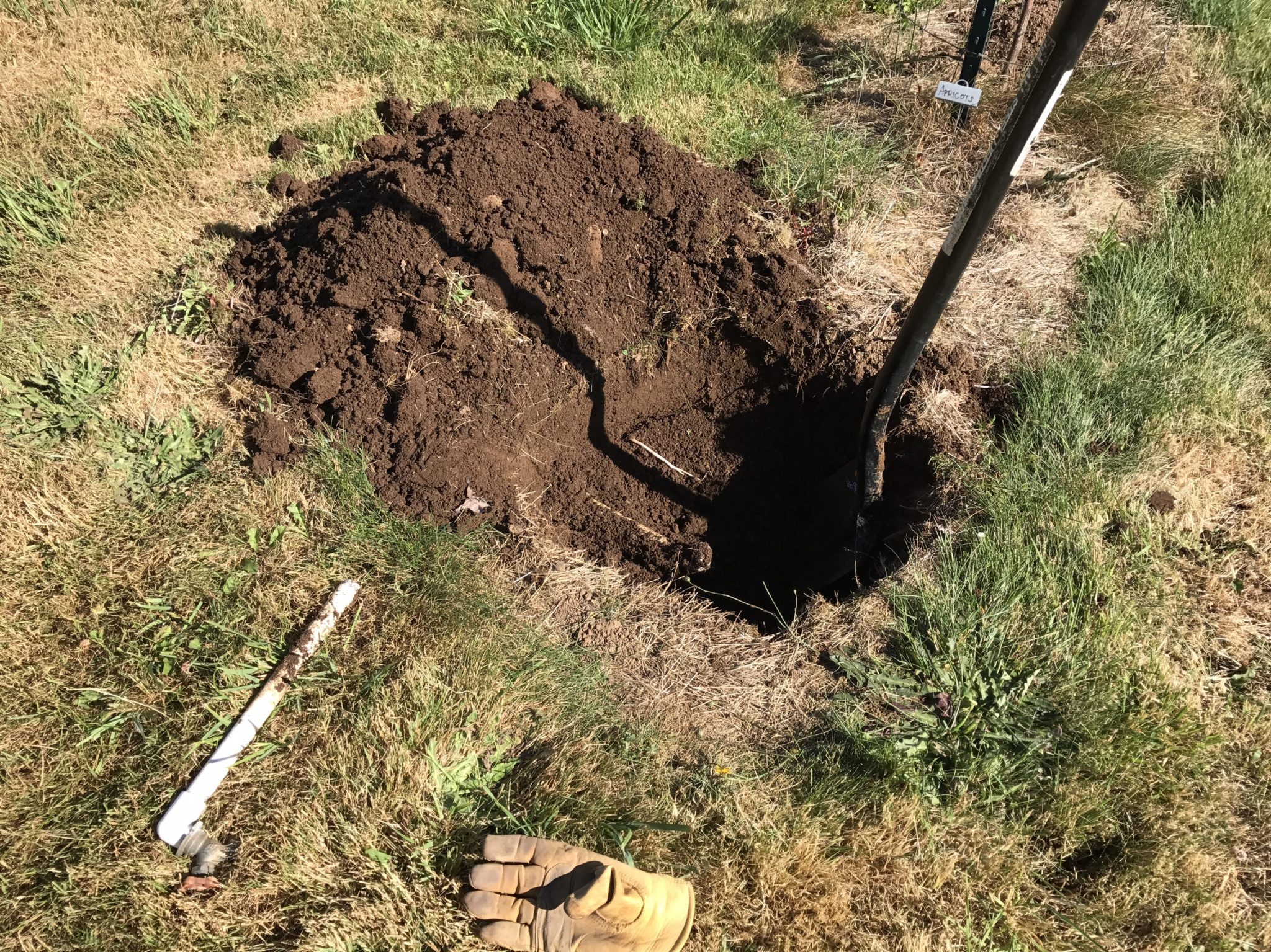 Picture of Orchard irrigation – Yellow Cottage Homestead
