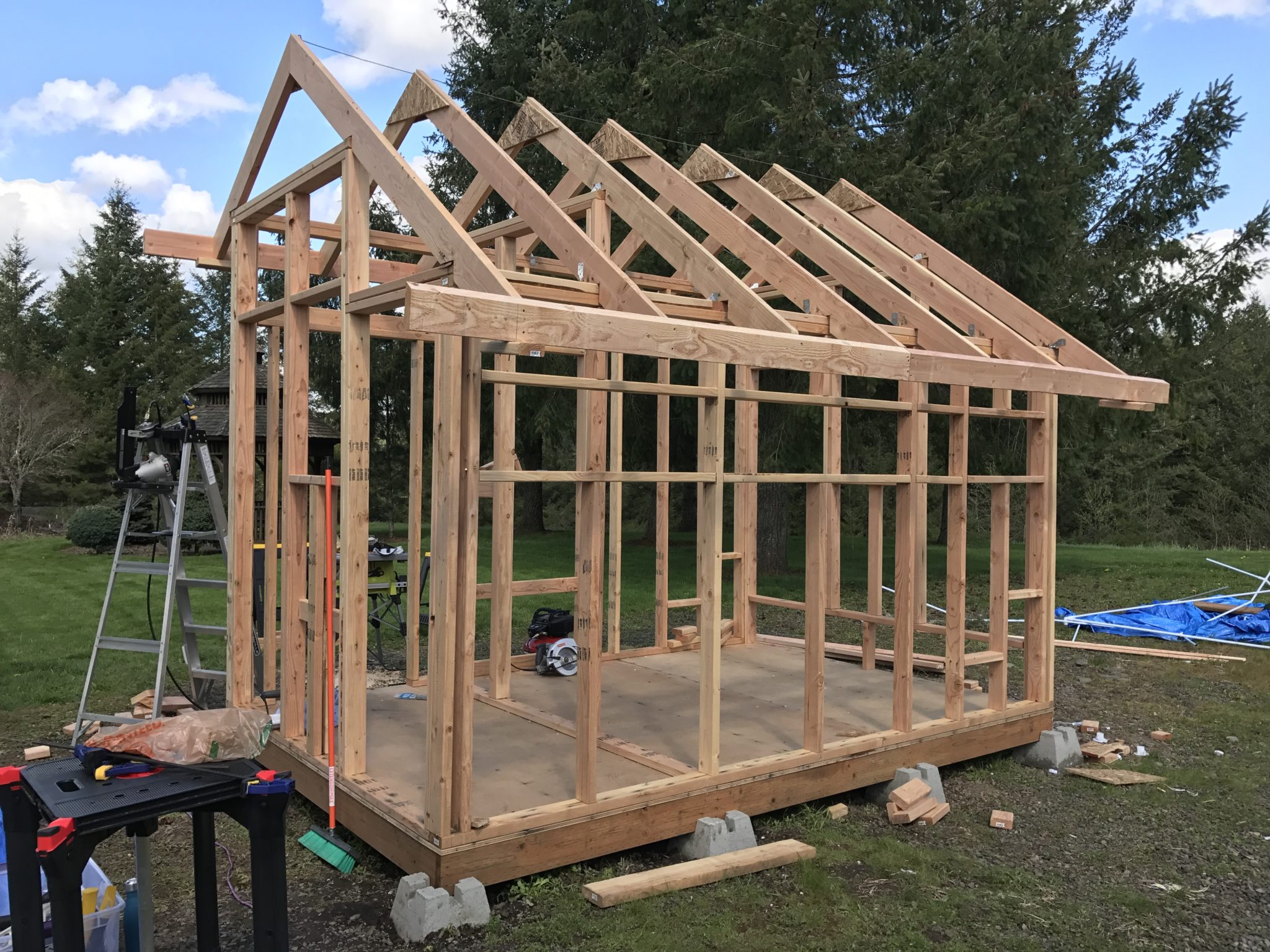 Chicken coop: sub-fascia & barge rafters – Yellow Cottage Homestead