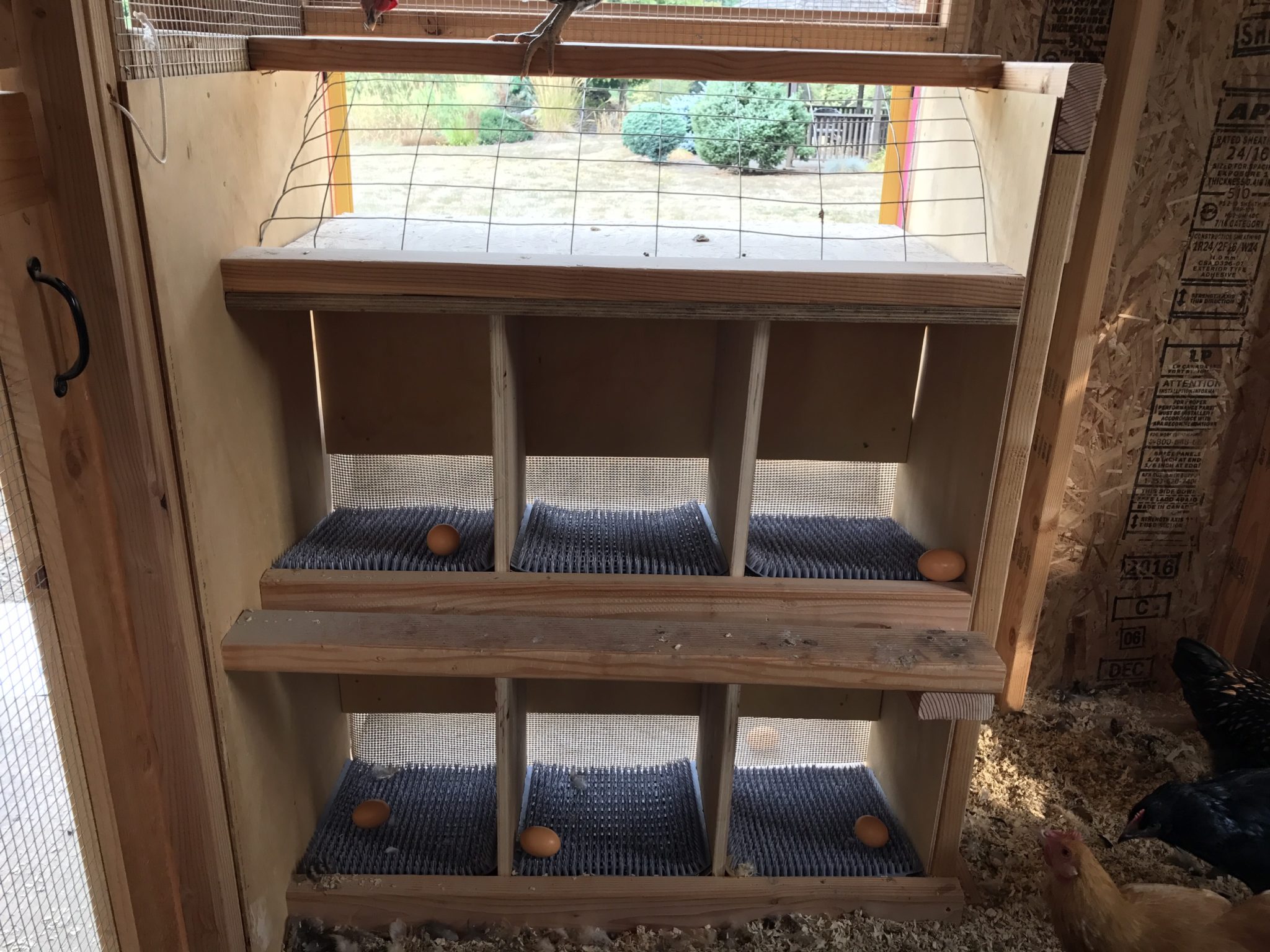 Chicken coop: finishing nesting boxes – Yellow Cottage Homestead