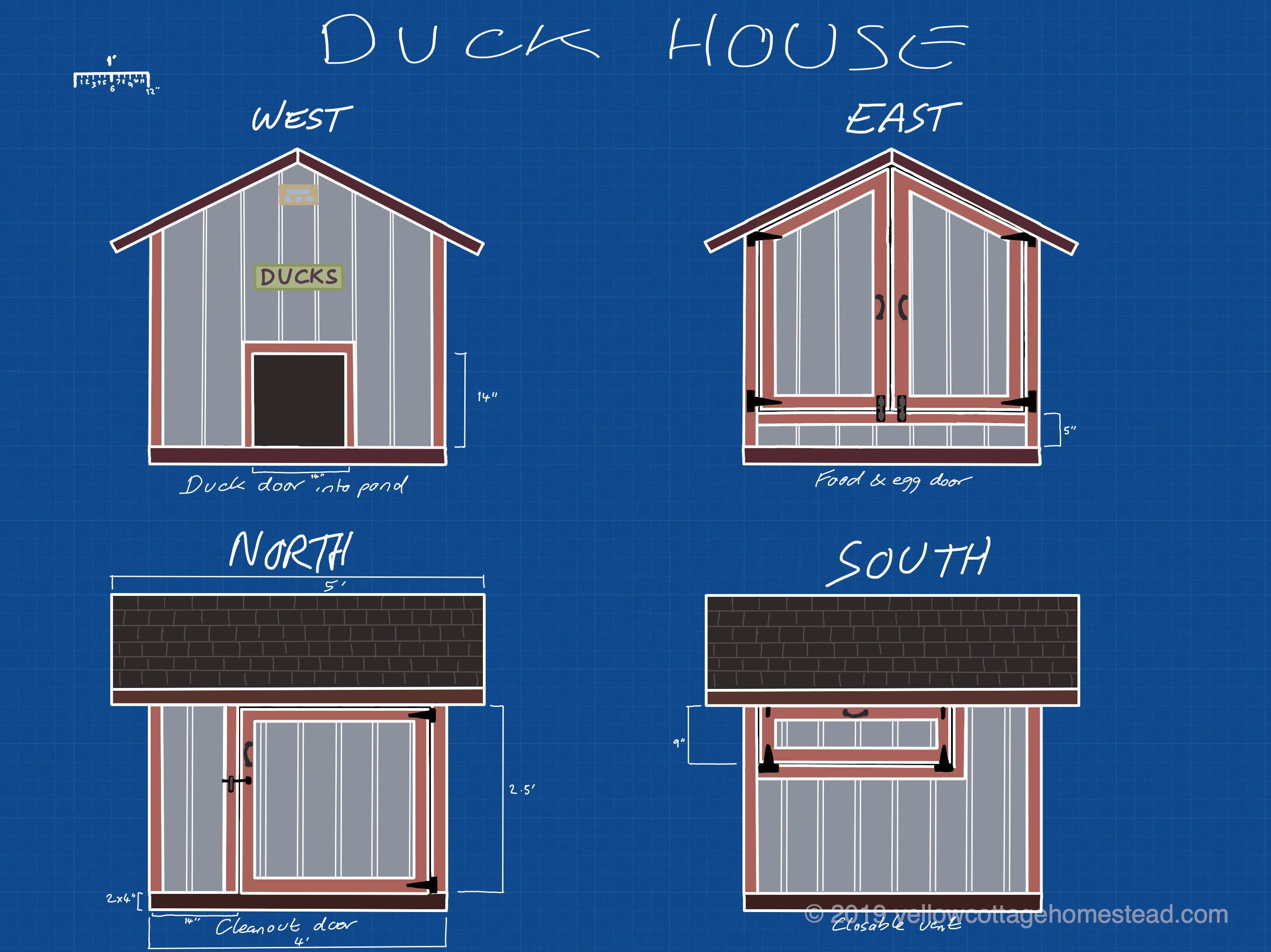Go ducks! – Yellow Cottage Homestead