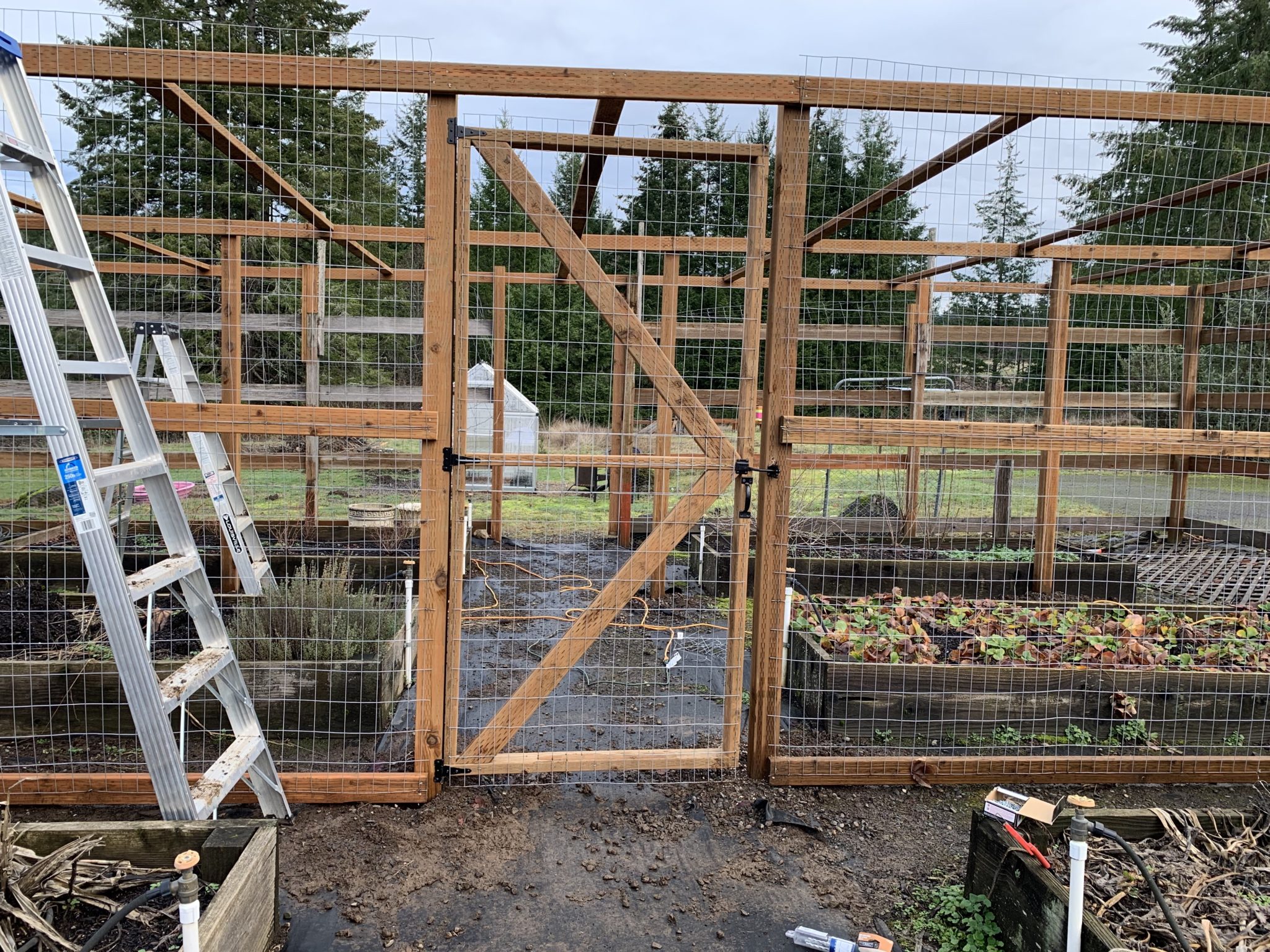 Berry cage: more gates – Yellow Cottage Homestead