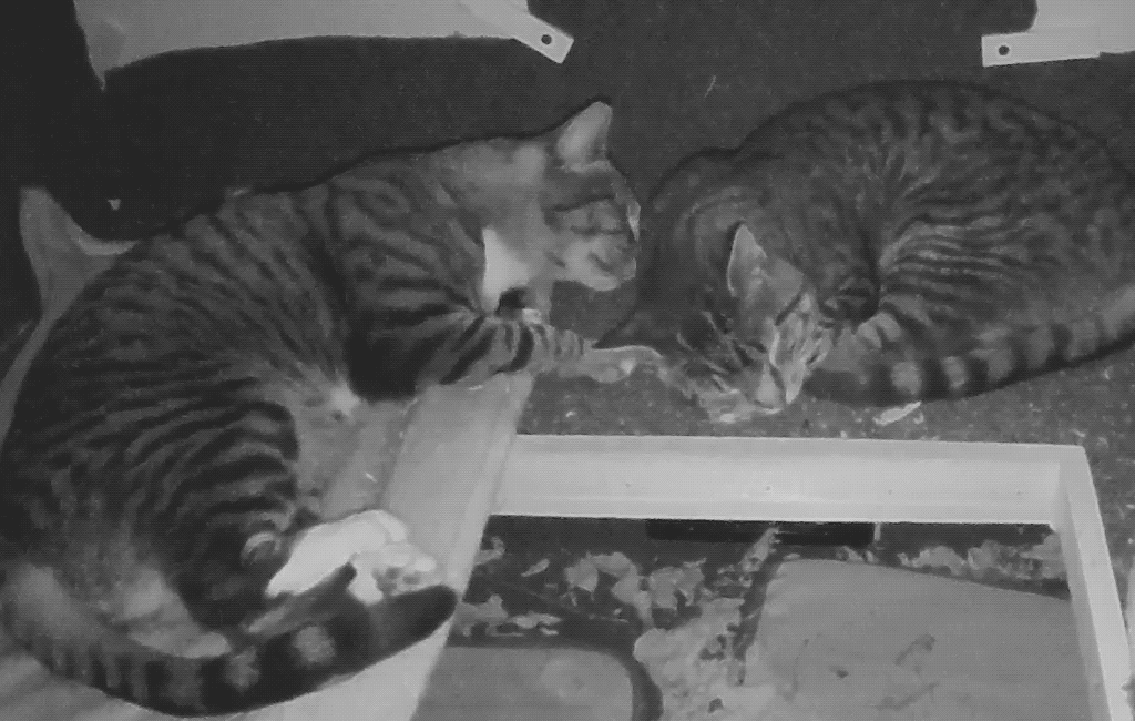 Snuggle GIF